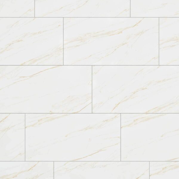 Gạch Đồng Tâm 60x120 60120LANGBIANG001FP-H+ giả đá marble trắng bóng kiếng khổ lớn